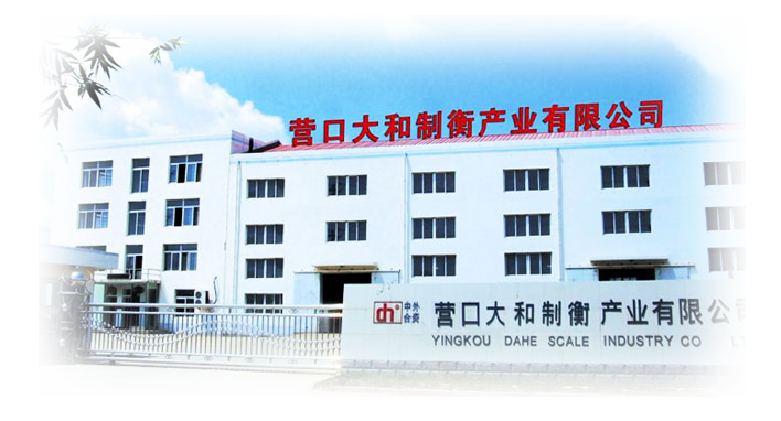 營口大和制衡產業(yè)有限公司
